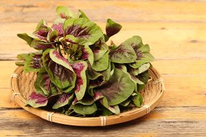 暈眩易疲勞是缺鐵？營養師教你3招高效補鐵