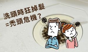 洗頭時狂掉髮?掉髮超過這數量就有脱髮危機!