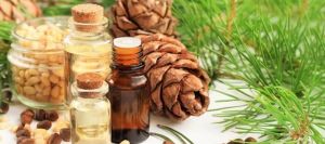 雪松油 好處 如何使用 適合人羣