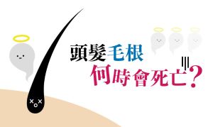 什麼情況下頭髮毛根會死亡?毛根可以活多久? 【預防禿頭小知識】