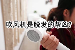 吹風機是脱髮的幫兇? !吹頭髮時多少掉髮量屬異常?