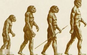 人類毛髮的功能是什麼？