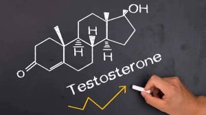 如何提高60歲以上男性的睾酮水平