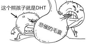 如何降低雙氫睾酮DHT的水平？