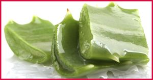 外用蘆薈的副作用