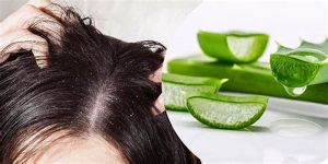 蘆薈對頭髮健康的好處