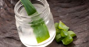 蘆薈的5大健康益處