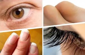 蓖麻油有何用處