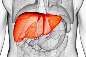 6種食物對肝臟解毒有效