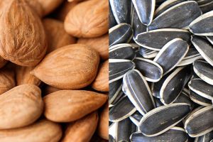 延緩衰老、防脱髮的兩種“好堅果”