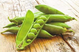 豌豆營養豐富，防止脱髮