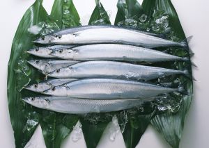 “藍背魚”對血液循環和脱髮有好處嗎？