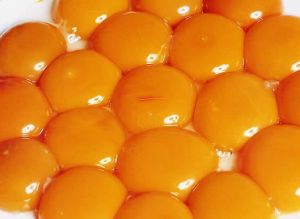 蛋黃有提高記憶力和防止脱髮的作用