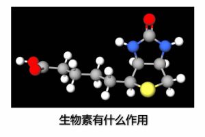 生物素有什麼作用