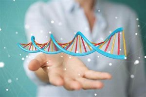 藥物脱髮治療的類型 - 睾酮抑制劑