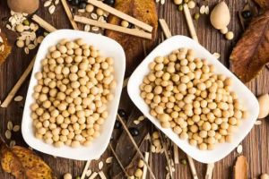 大豆蛋白對健康有益還是有害？