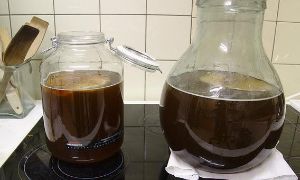 康普茶潛在的風險因素