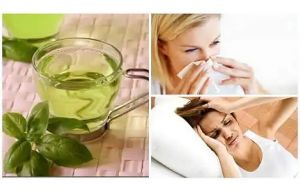 每天喝羅勒茶的8個好處