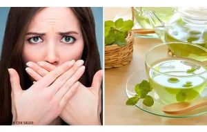 發現薄荷的好處和用途