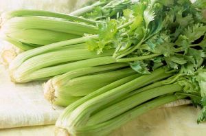 多吃芹菜的十個驚人理由