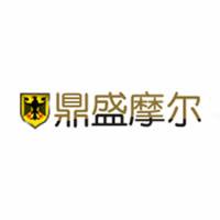 北京鼎盛摩爾科技有限公司