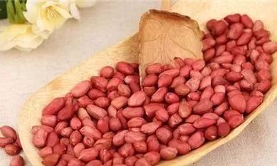 金髓生发液 金髓生发液