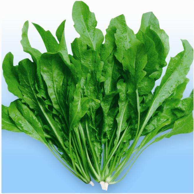 止脱生发 止脱生发