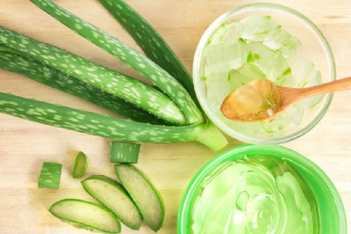 芦荟用于浓密的头发