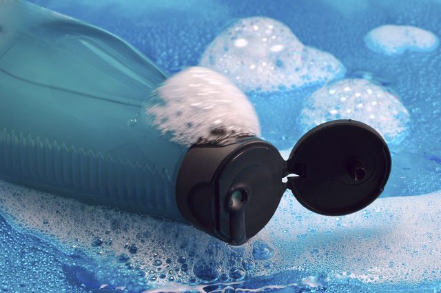 控制出油的皮脂腺 控制出油的皮脂腺