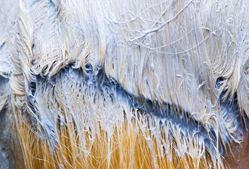 化學處理太多 化學處理太多