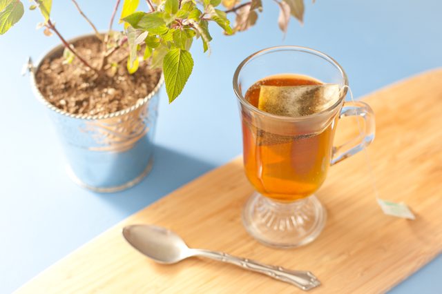 鼠尾草茶 鼠尾草茶