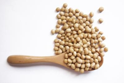 大豆 大豆