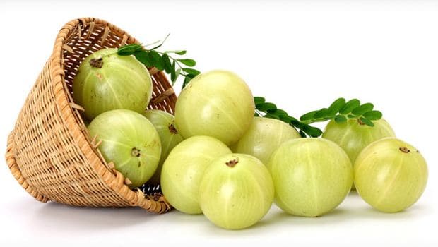 Amla(印度醋栗)防止頭髮稀疏 Amla(印度醋栗)防止頭髮稀疏