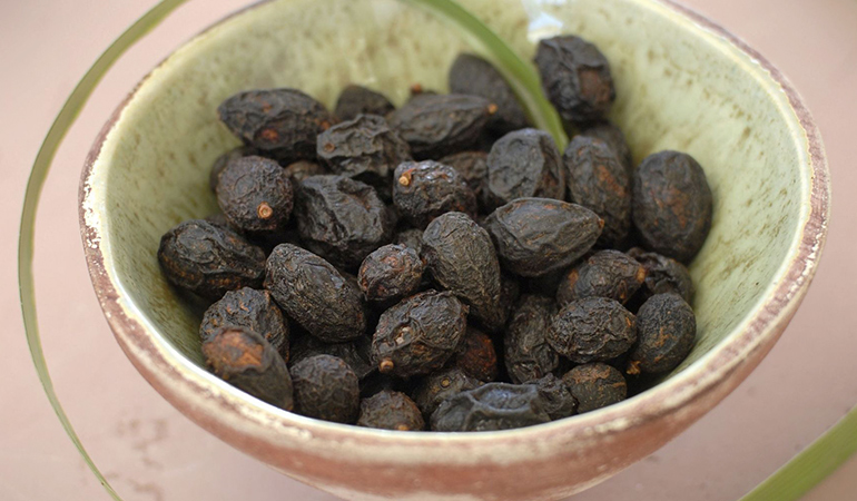 鋸棕櫚——治療雄激素性脱髮 鋸棕櫚——治療雄激素性脱髮