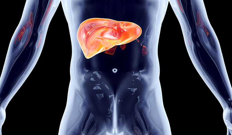 幫助肝臟排毒 幫助肝臟排毒