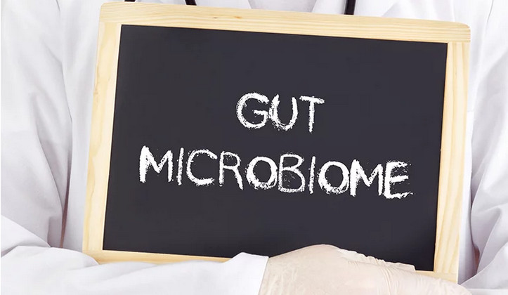 有助於增強腸道健康 有助於增強腸道健康