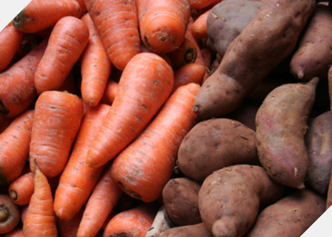 頭髮生長營養——<a href='t/t_690' title='維生素A' target='_blank'>維生素A</a> 頭髮生長營養——維生素A