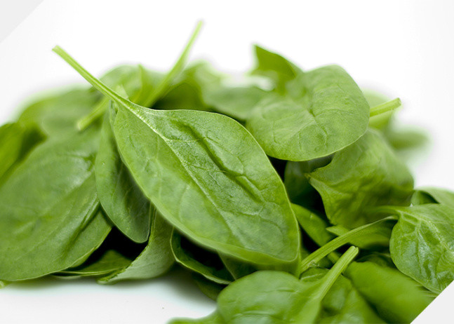 頭髮生長營養——鐵 頭髮生長營養——鐵