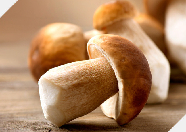 頭髮生長營養——鋅 頭髮生長營養——鋅