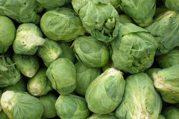 香豆雌酚 香豆雌酚