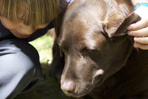 頭皮真菌 頭皮真菌
