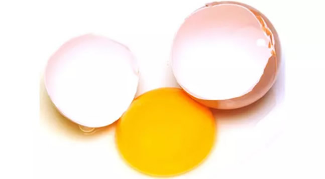 雞蛋/雞 雞蛋/雞