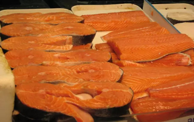 鮭魚 鮭魚