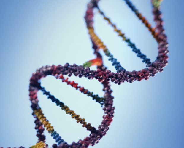 頭髮變白的原因——遺傳學 頭髮變白的原因——遺傳學