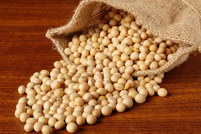 大豆