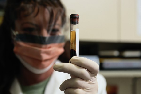 檢查實驗室工作 檢查實驗室工作