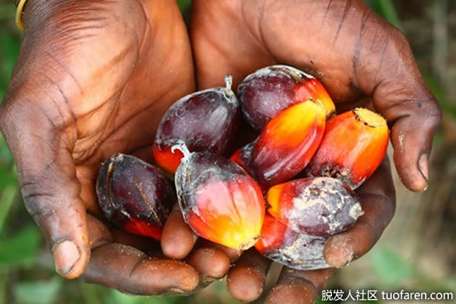 1592016981403071298.jpg 1.jpg