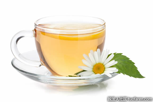 一杯甘菊茶可以提供天然的鈣