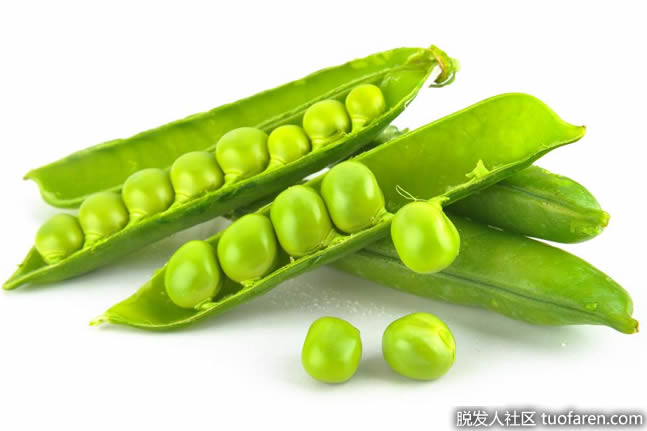 青豆富含硫胺 青豆富含硫胺