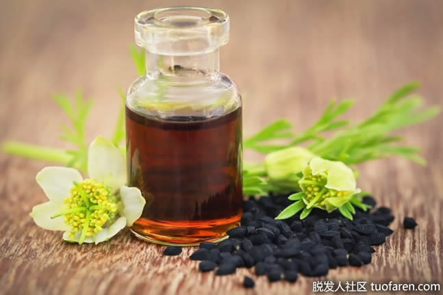 黑籽油 黑籽油